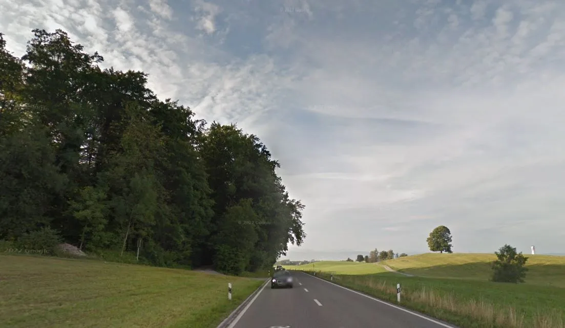 Eine Strasse, die an einem Waldstück vorbeiführt.